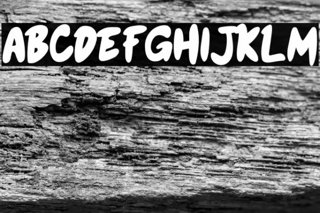 Honey Bear Bold Font examples