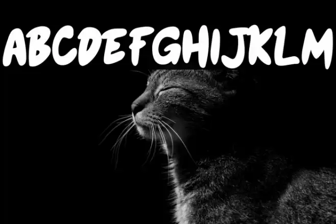 Honey Bear Bold Font examples