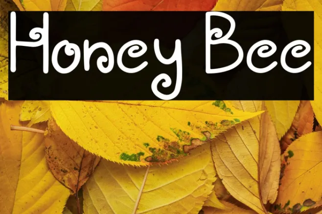 Honey Bee Example 1