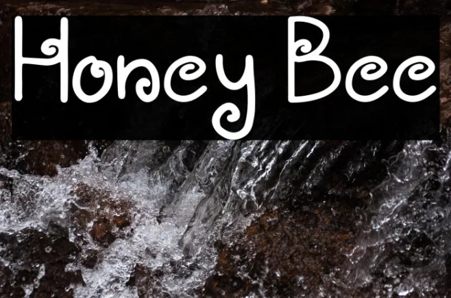 Honey Bee Example 3