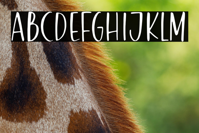 Honey Bread Example 1