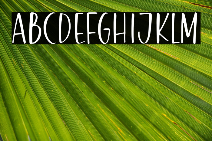 Honey Bread Example 3