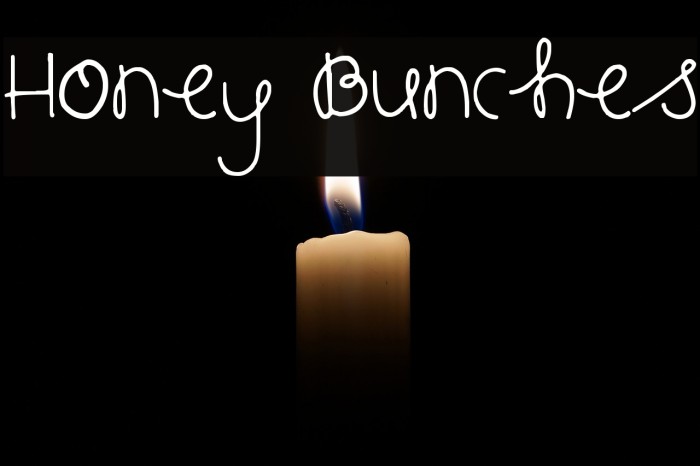 Honey Bunches Font examples