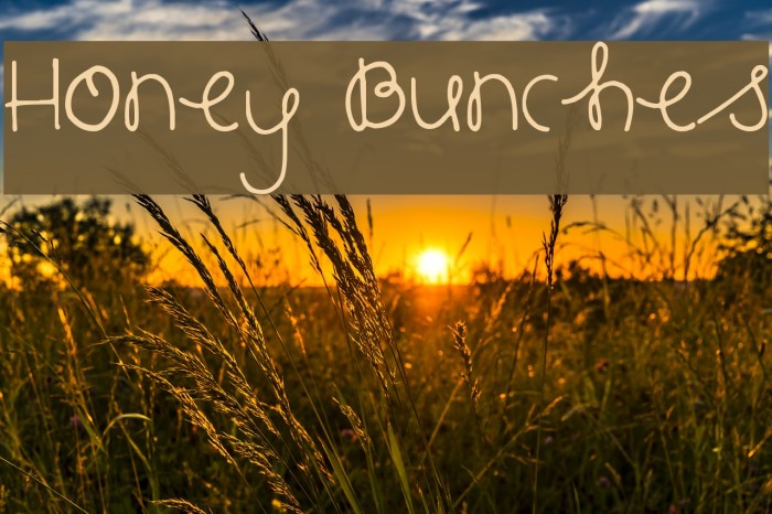 Honey Bunches Font examples