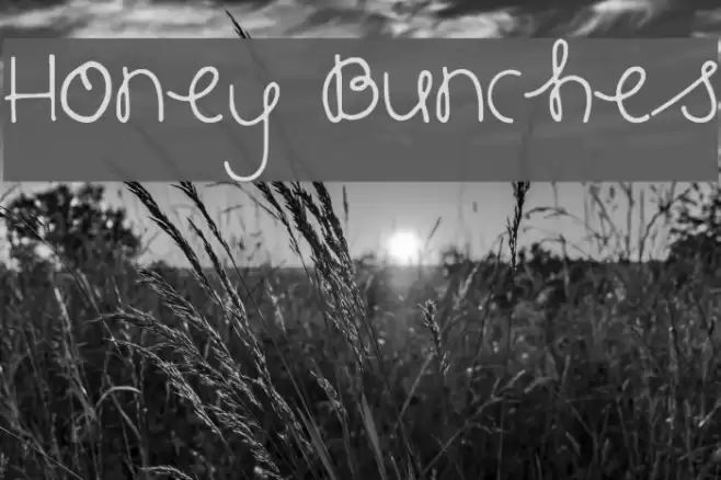 Honey Bunches Font examples