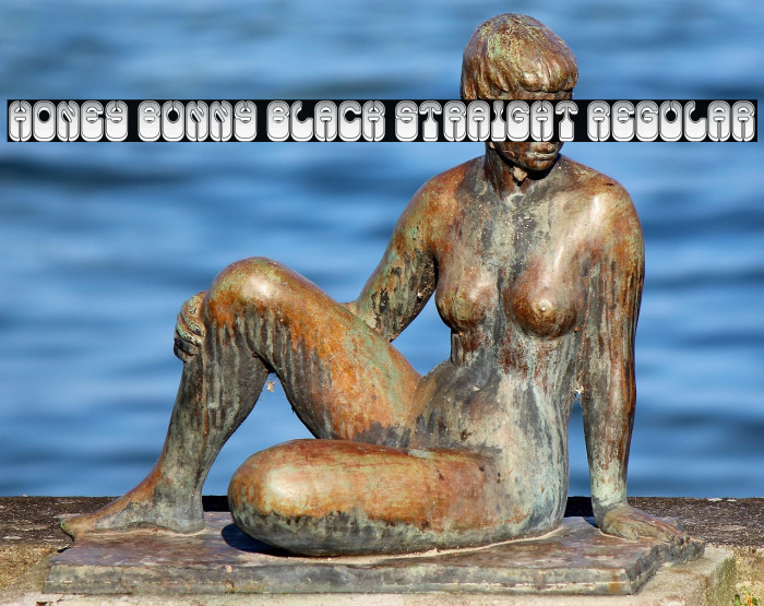 Honey Bunny Black Straight Regular Example 3