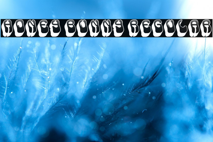 Honey Bunny Regular Example 2