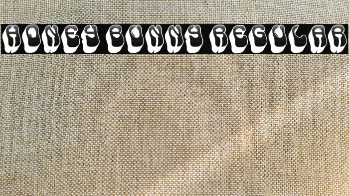 Honey Bunny Regular Example 3