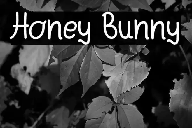 Honey Bunny Font examples