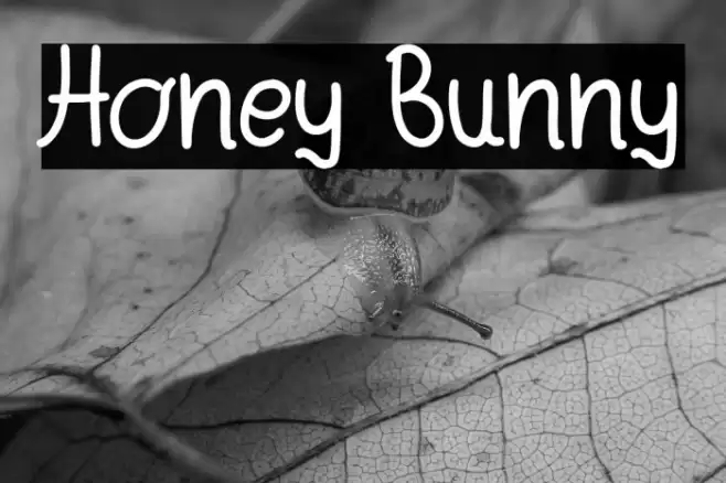 Honey Bunny Font examples