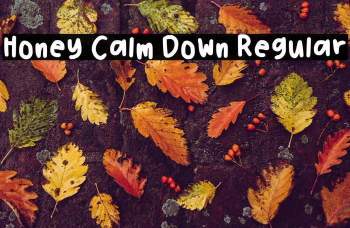 Honey Calm Down Regular Example 3