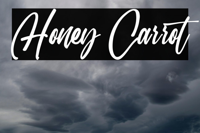 Honey Carrot Example 1