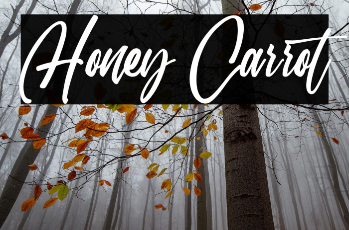 Honey Carrot Example 2