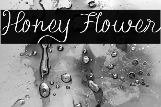 Honey Flower Font examples