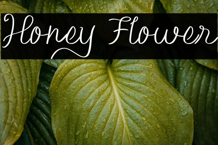 Honey Flower Example 3