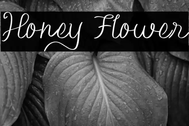 Honey Flower Font examples
