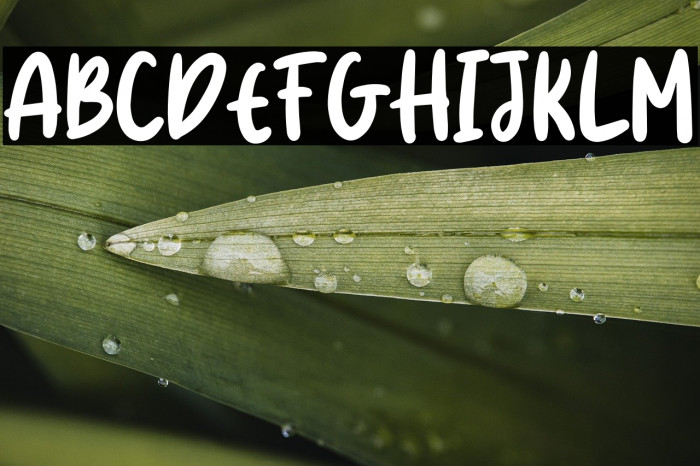 Honey Jar Free Trial Example 1