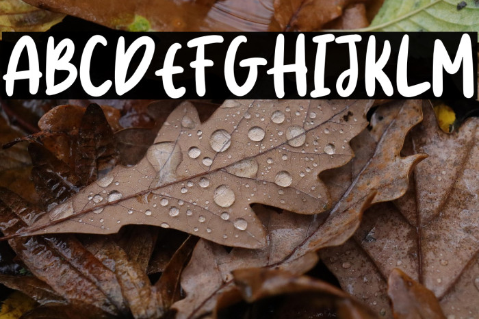 Honey Jar Free Trial Example 3