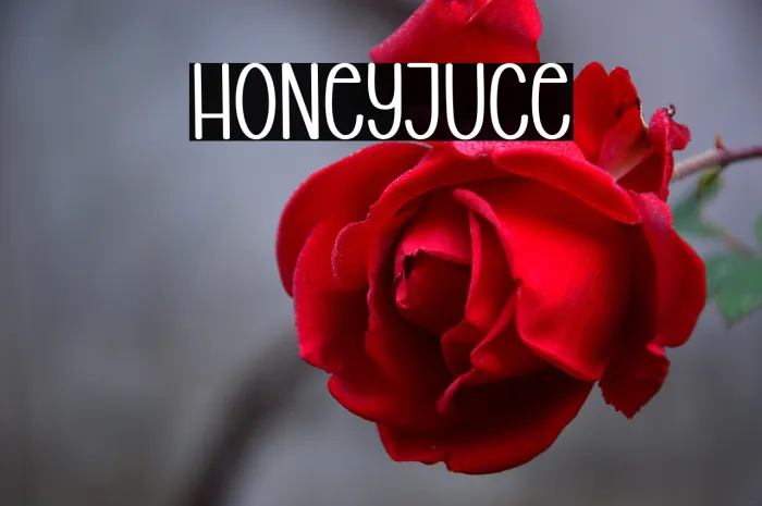 Honey Juice Example 2