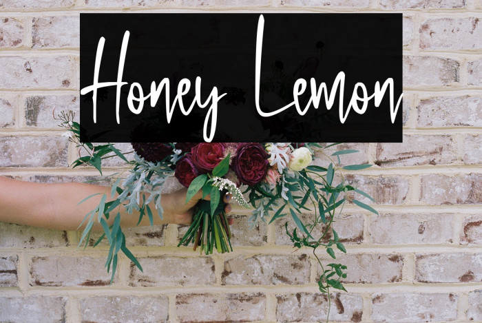 Honey Lemon Example 1