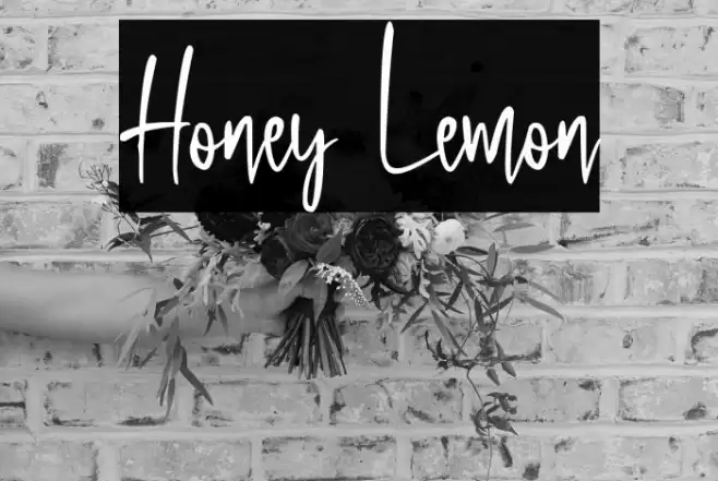Honey Lemon Font examples