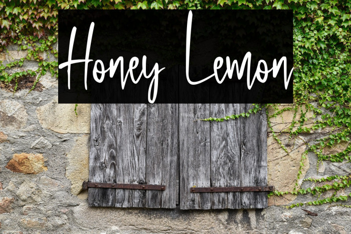 Honey Lemon Example 2