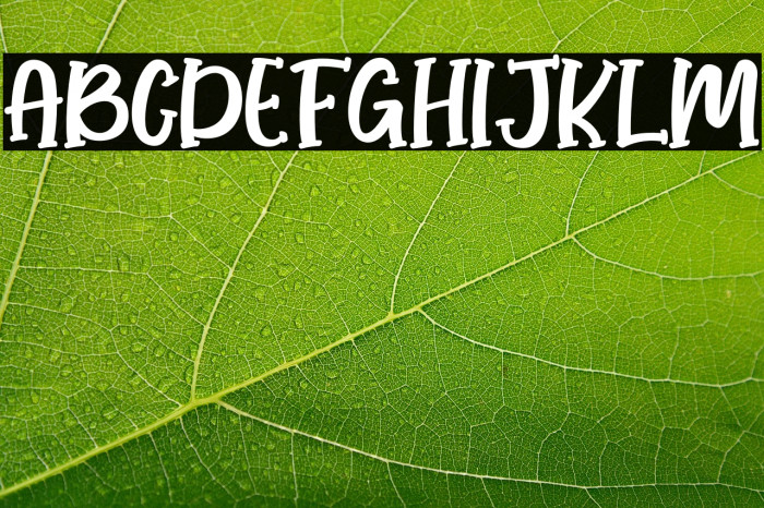 Honey Lemone Example 1