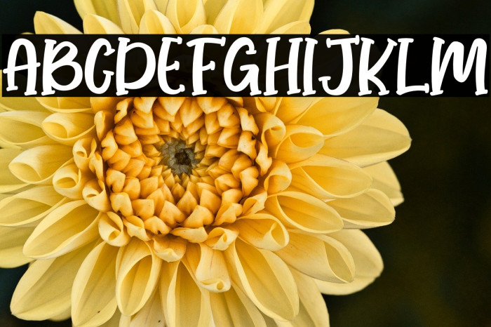 Honey Lemone Example 2