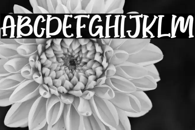 Honey Lemone Font examples