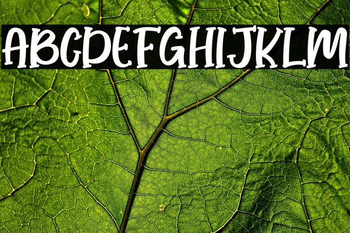 Honey Lemone Example 3