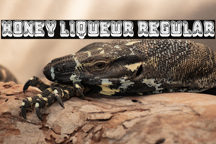 Honey Liqueur Regular Example 1