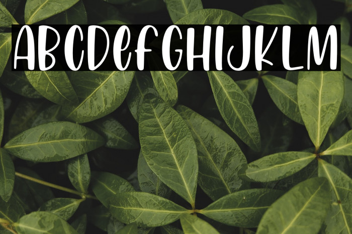 Honey Mints Example 1