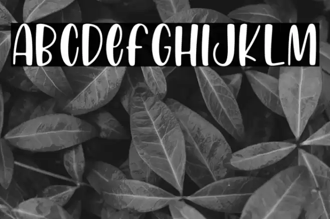 Honey Mints Font examples