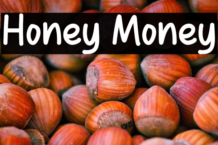 Honey Money Example 1