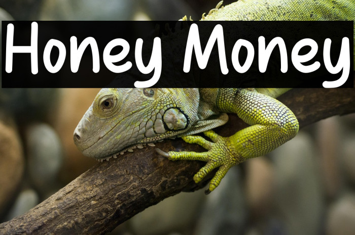 Honey Money Example 3