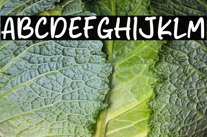 Honey Monly Example 1