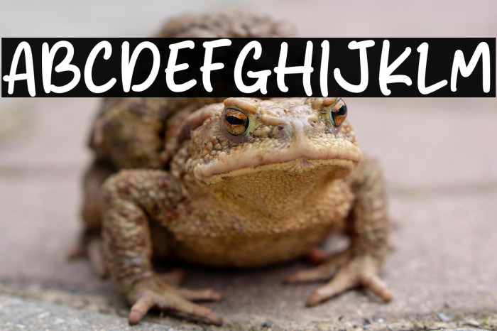 Honey Monly Example 2