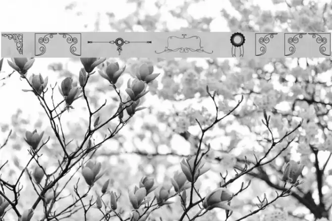 Honey Moon Font examples