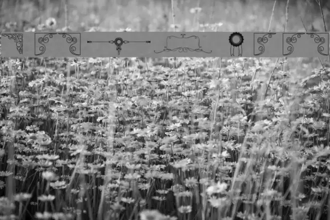 Honey Moon Font examples