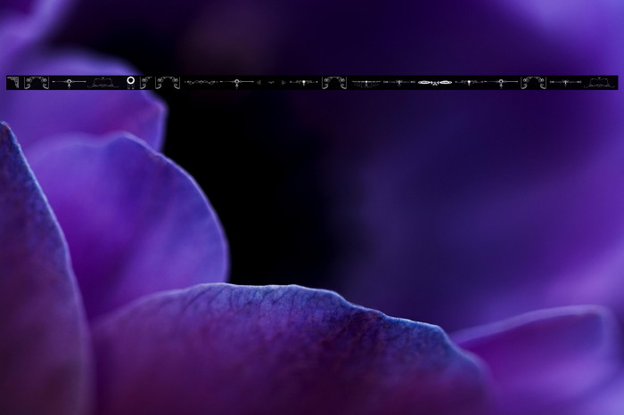 Honey Moon_PersonalUseOnly Example 3