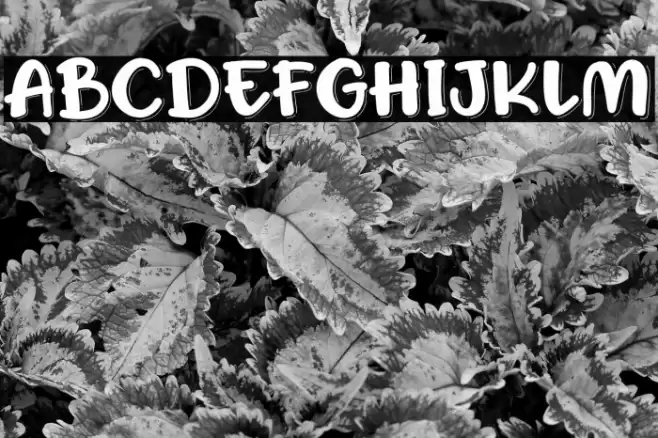 Honey Ponds Personal Use Font examples