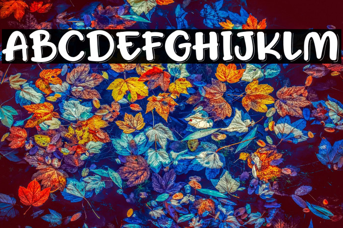 Honey Ponds Personal Use Example 2