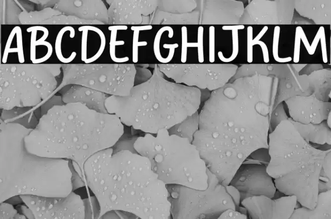 Honey Salt Fonte examples