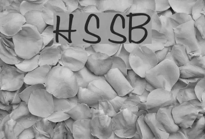 Honey Script SemiBold Font examples