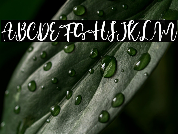 Honey Sharon - Personal Use Example 2