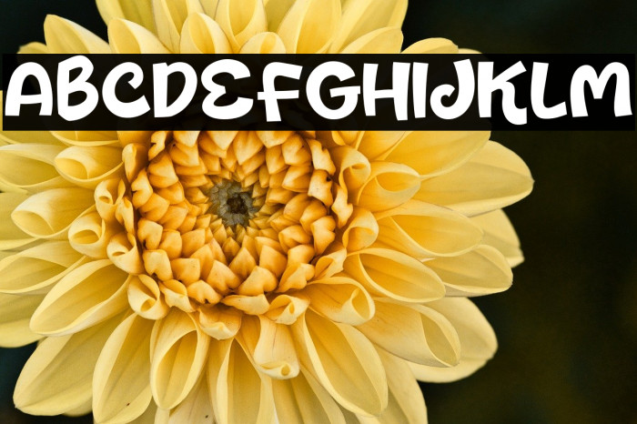 Honey Silk Example 3