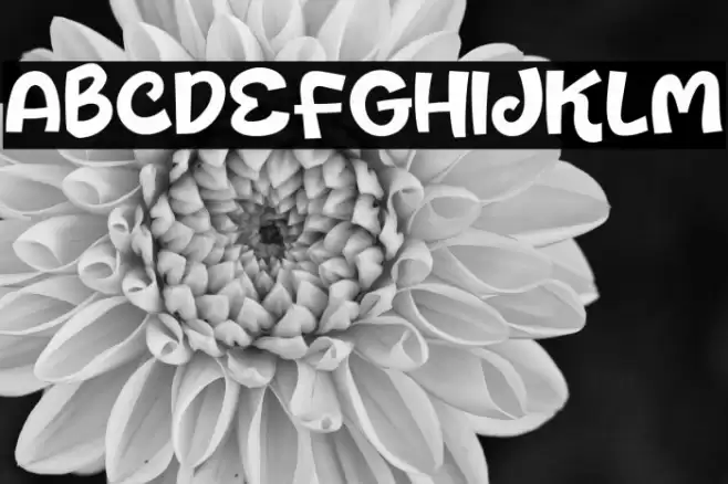 Honey Silk Font examples