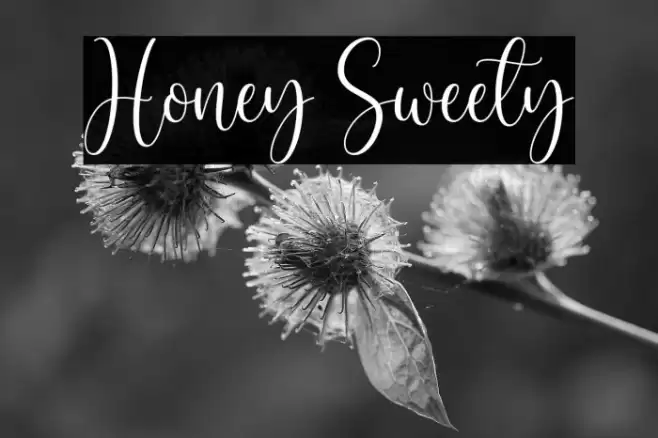 Honey Sweety Font examples
