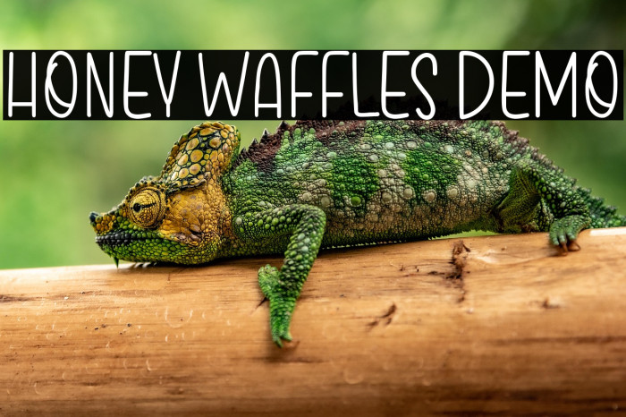 Honey Waffles Demo Example 1