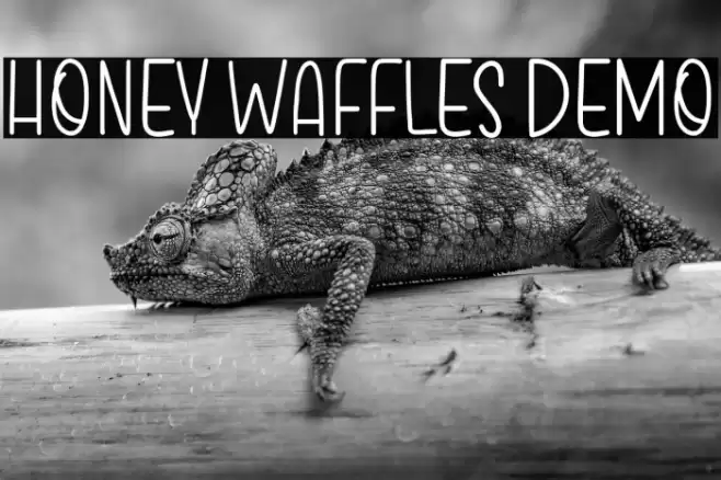 Honey Waffles Demo Font examples